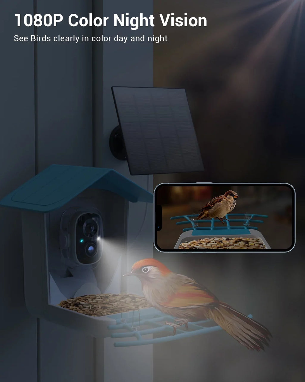 TMEZON Smart Bird Feeder with Camera, Bird Feeder House with 1080P Battery Security Camera Solar Powered Auto Capture Bird Videos Wireless Outdoor