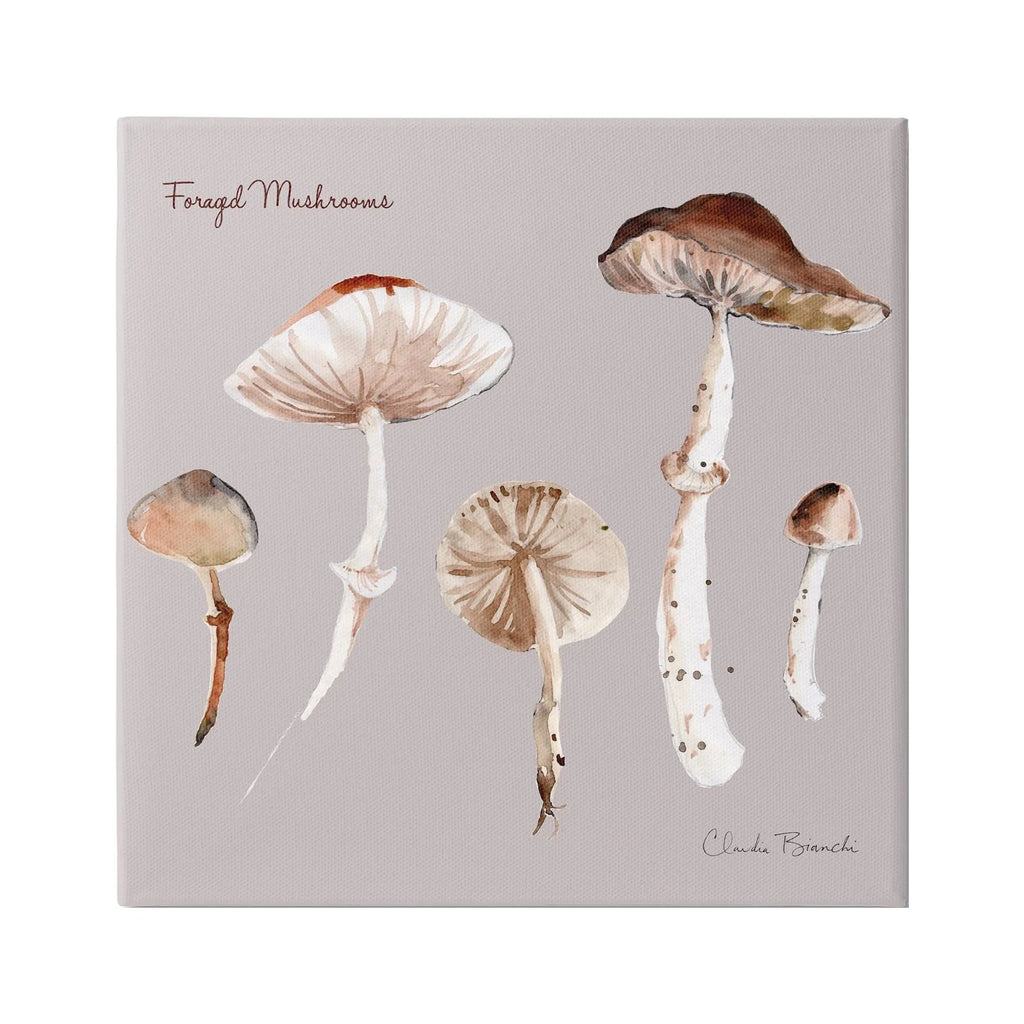 Stupell Industries Foraged Mushrooms Study Botanical & Floral Painting Gallery Wrapped Canvas Art Print Wall Art, 36 x 36