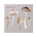 Stupell Industries Foraged Mushrooms Study Botanical & Floral Painting Gallery Wrapped Canvas Art Print Wall Art, 36 x 36