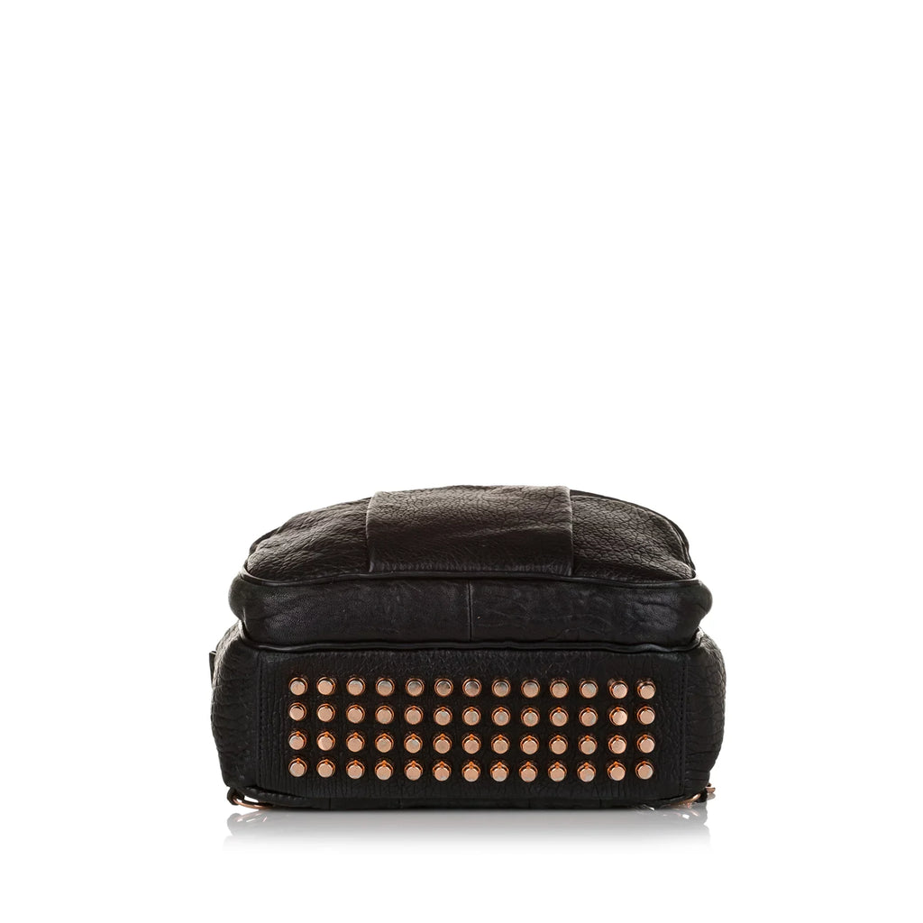 Pre-Owned Authenticated Alexander Wang Dumbo Backpack Calf Leather ebony Unisex (Good)