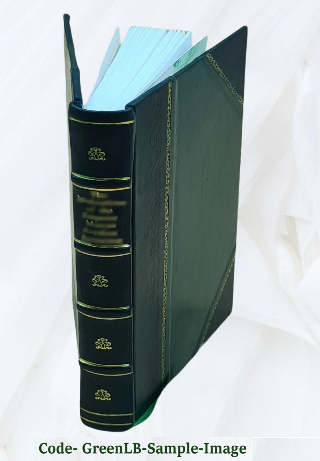 2438 1900 [Leather Bound]. An historical novel Volume pt. Prince Eugene and his times