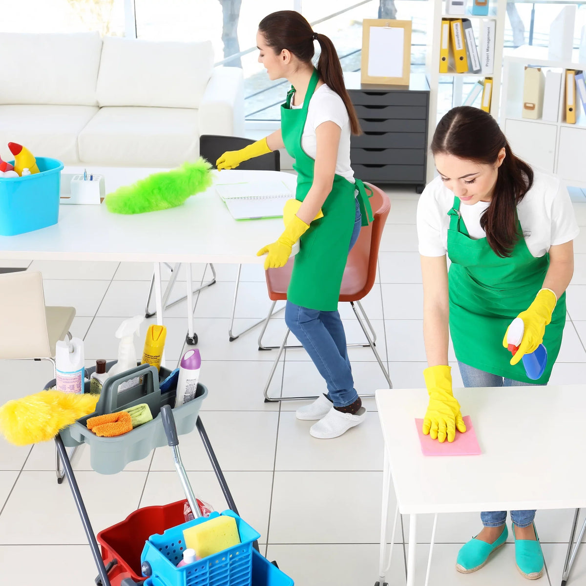 BISupply Cleaning Supplies Organizer Caddies - 4pk Bathroom Cleaning Caddy Set