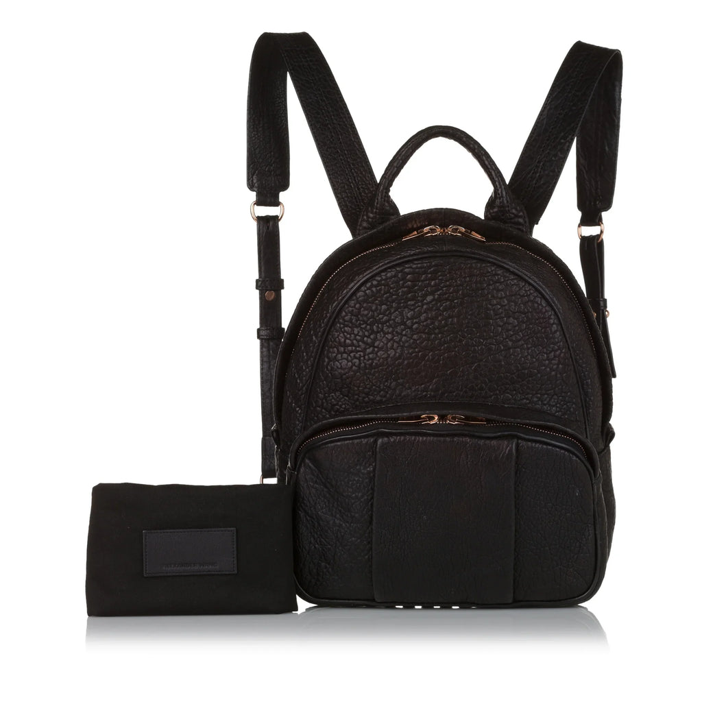Pre-Owned Authenticated Alexander Wang Dumbo Backpack Calf Leather ebony Unisex (Good)