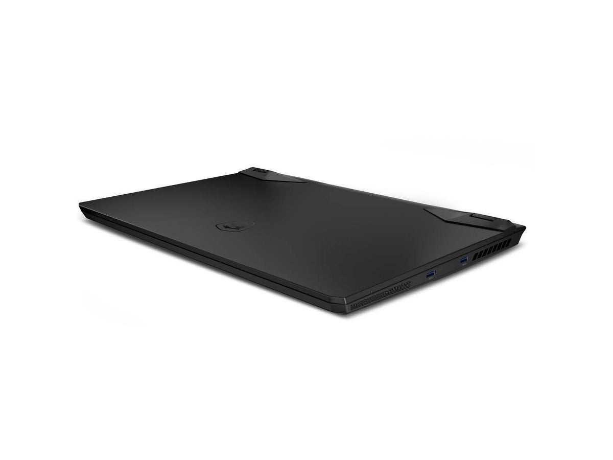 MSI GP Series - 17.3" 360 Hz IPS -  Core i7 12th Gen 12700H (2.30GHz) - NVIDIA GeForce RTX 3070 Ti Laptop GPU - 32 GB DDR4 - 2 TB PCIe SSD - Windows 11 Home 64-bit - Gaming Laptop (Vector GP76 12