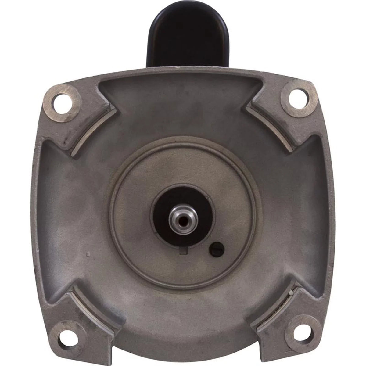 1.5  2-Speed 56Y Frame 230V Square Flange Pool Motor Century # B2983